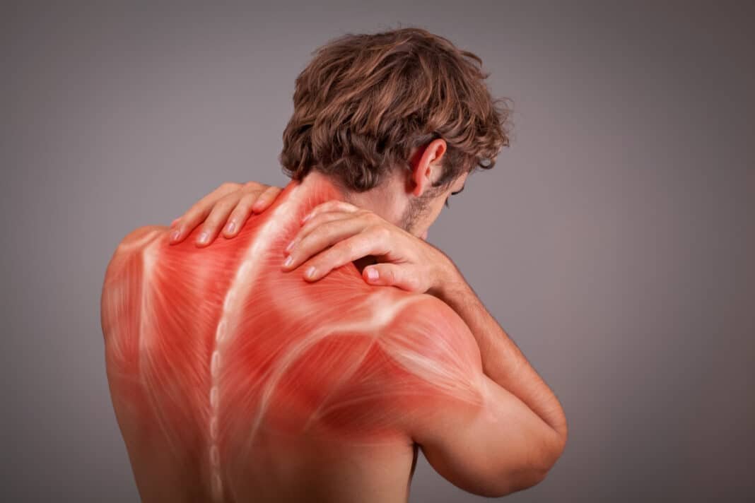Symptoms and Causes of Chronic Muscle Pain