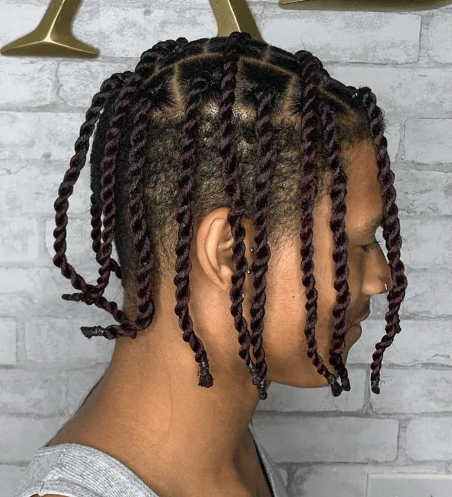 2 Strand Twist for Men