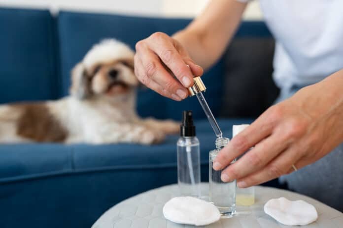 CBD Oil for Your Dog