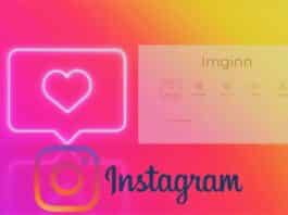 Imginn